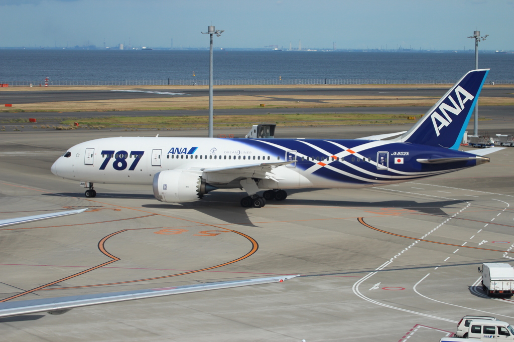 ANA B787-8(特装機)