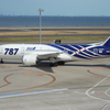 ANA B787-8(特装機)