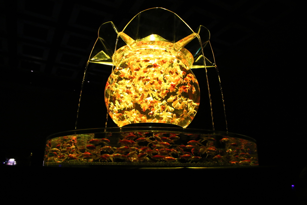 アートアクアリウム展～名古屋・金魚の雅～