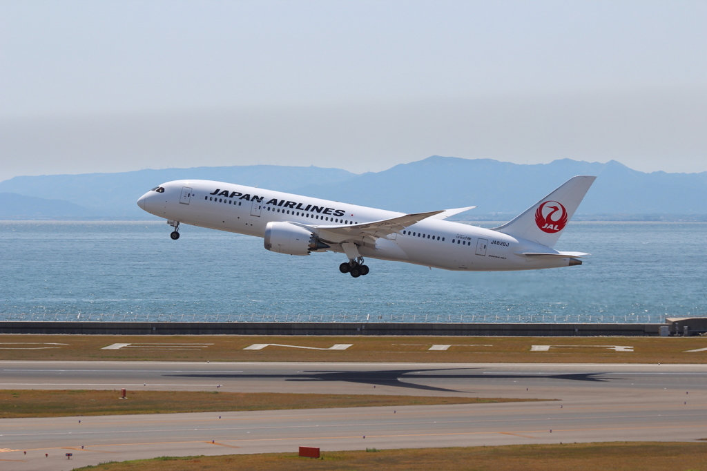 JAL B787-8 テストフライト