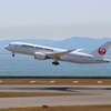 JAL B787-8 テストフライト