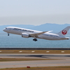 JAL B787-8 テストフライト