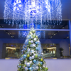 羽田空港青組のクリスマスツリー