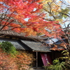 金鱗湖の紅葉