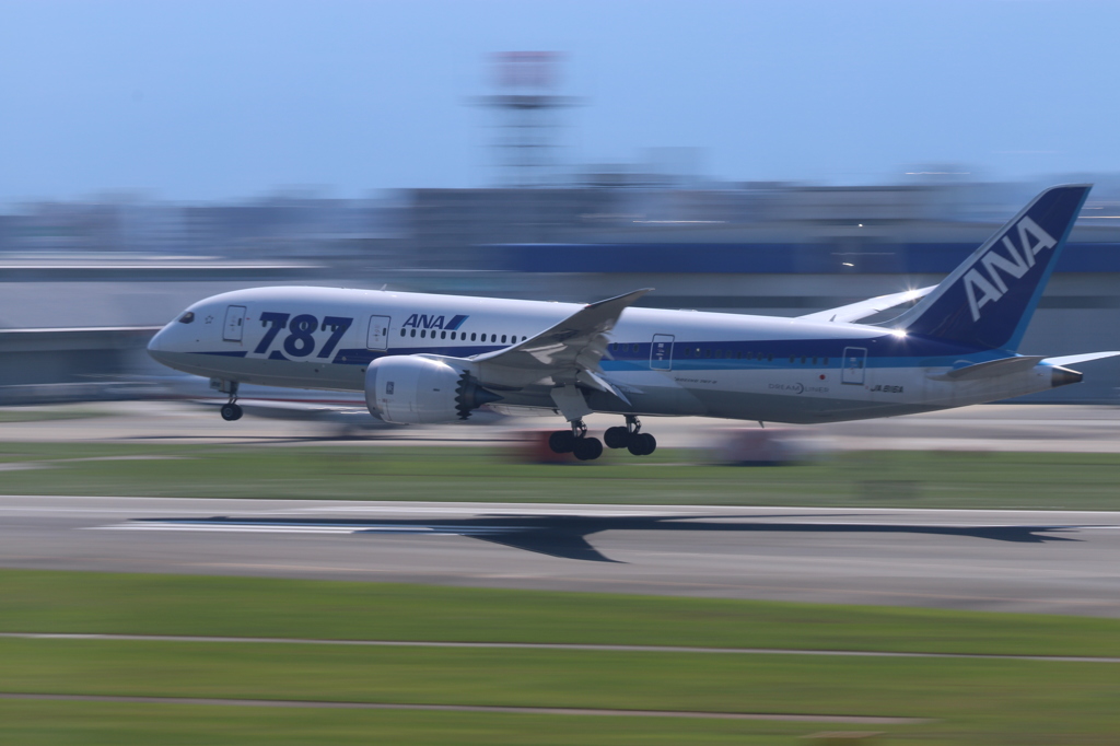 ANA B787-8