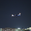 空飛ぶイルカ