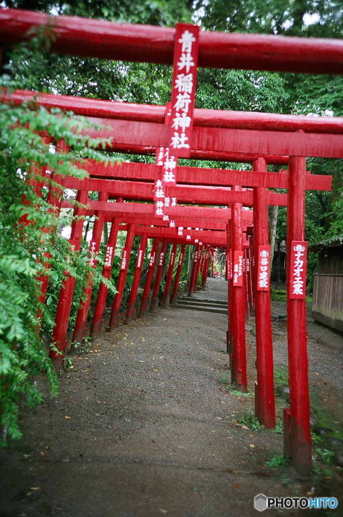 青井稲荷神社の鳥居