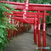 青井稲荷神社の鳥居