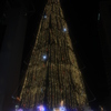 光のクリスマスツリー
