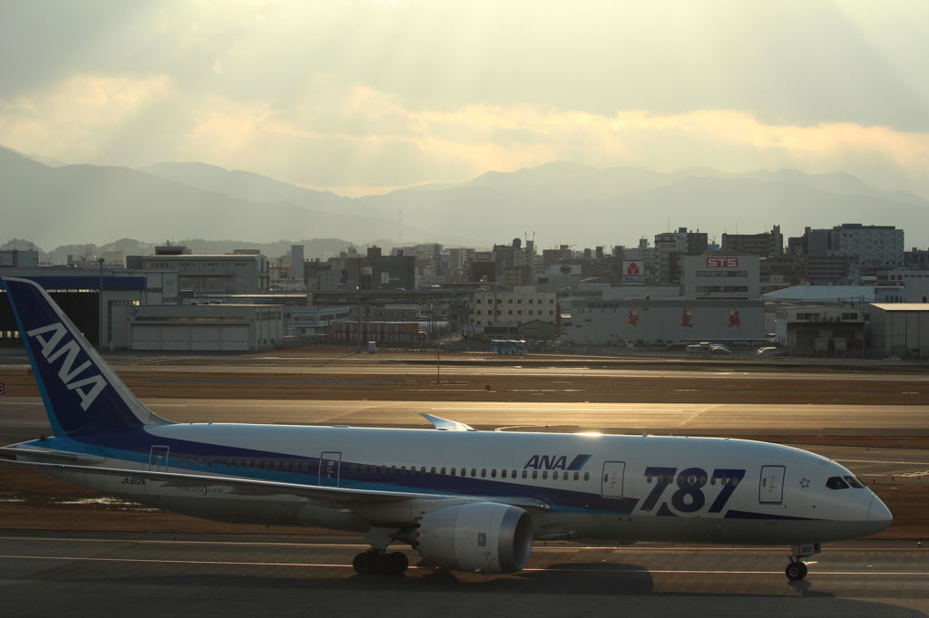 ANA B787-8