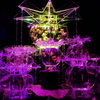 アートアクアリウム展 2013