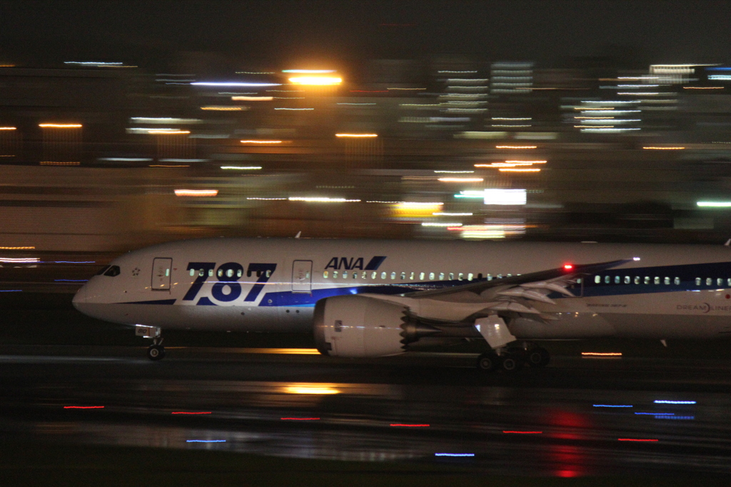 ANA B787-8