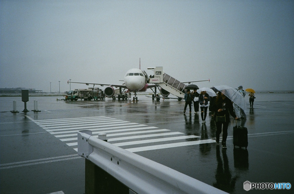 lomography: 到着