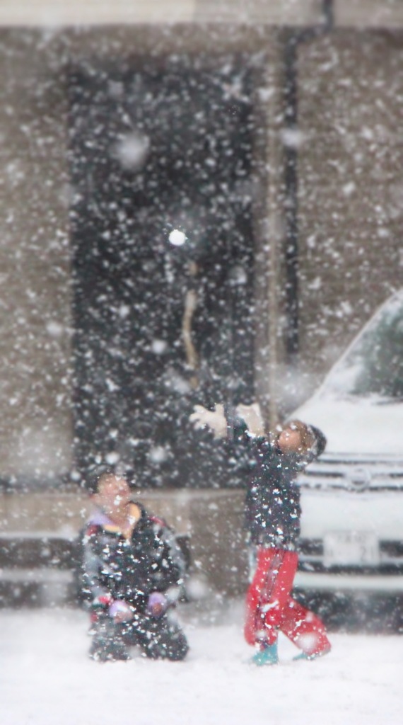 雪 遊び