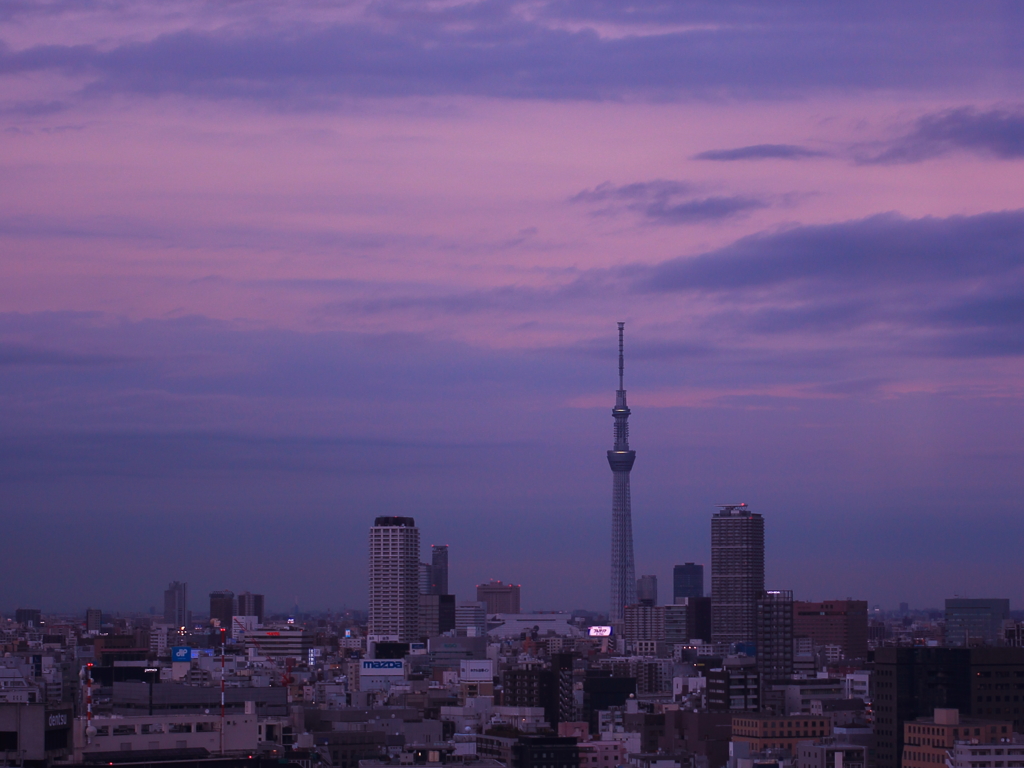 日没？夜明け？　スカイツリー