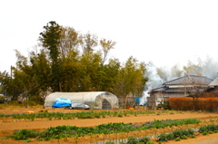 田舎風情