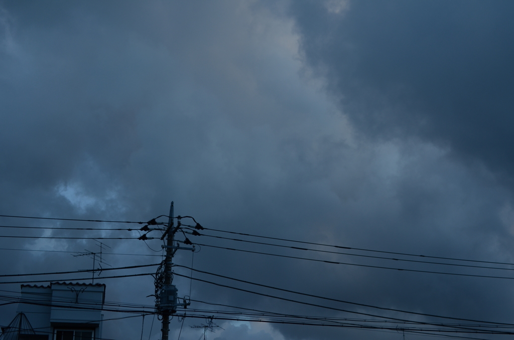 夕立がくる