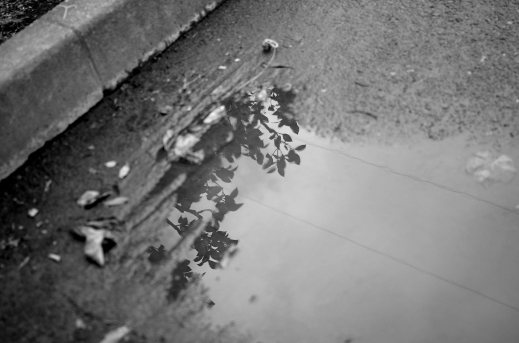 突然の雨
