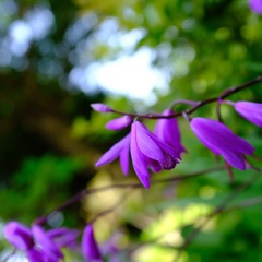 IMG_20180429_131532_639