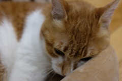 センサーON
