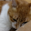 センサーON