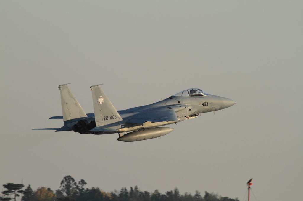 ひさしぶりの百里2