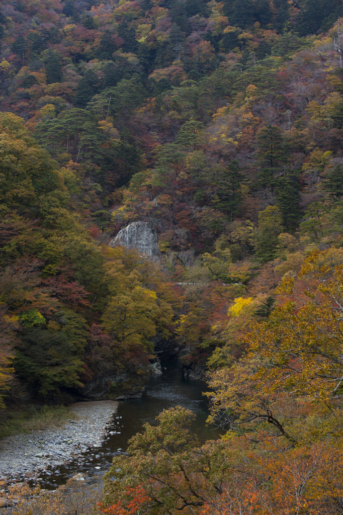 国道４００号　紅葉