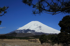 富士山