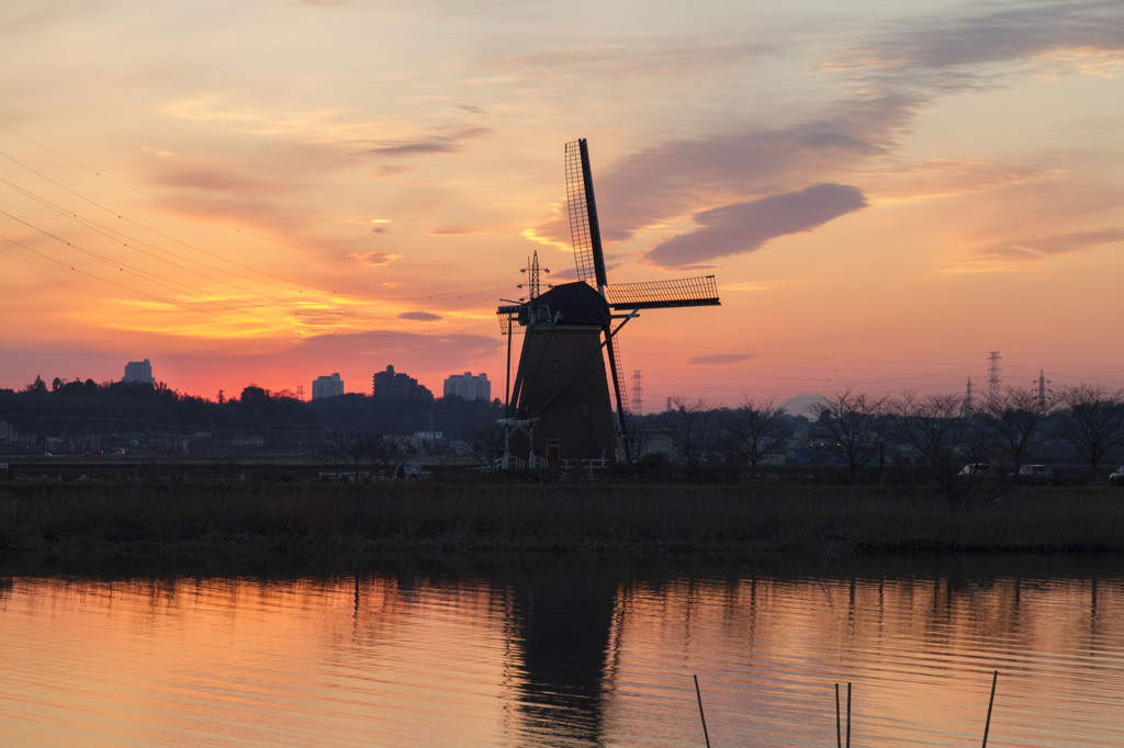 印旛沼風車初めて