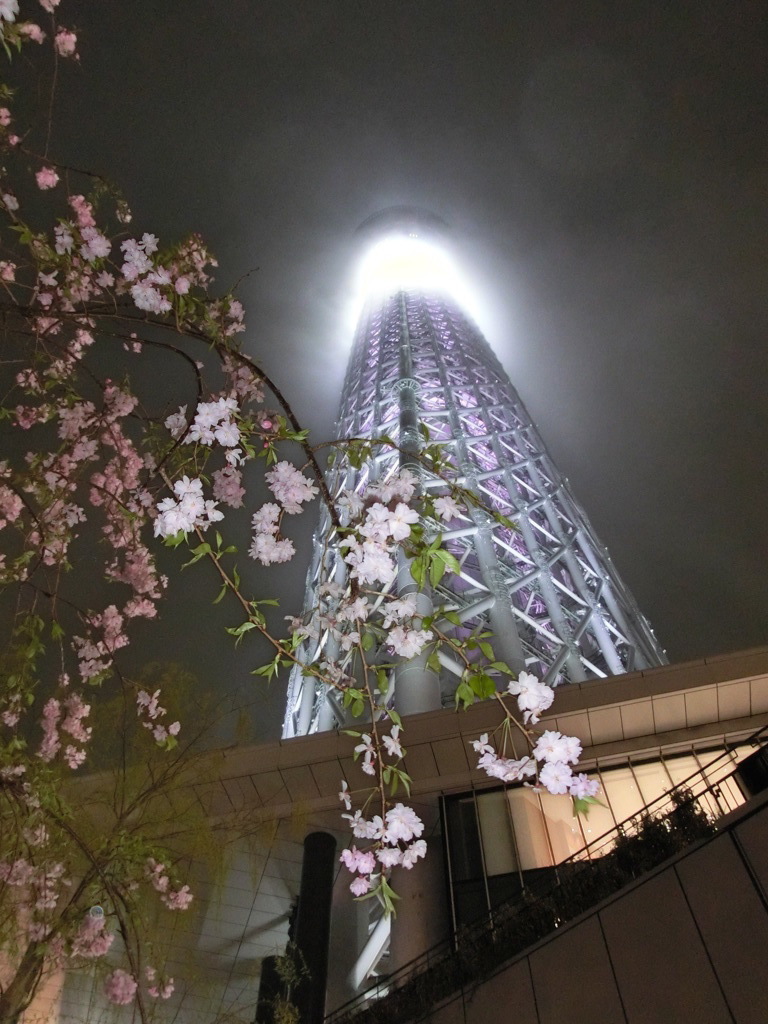 雨のスカイツリー