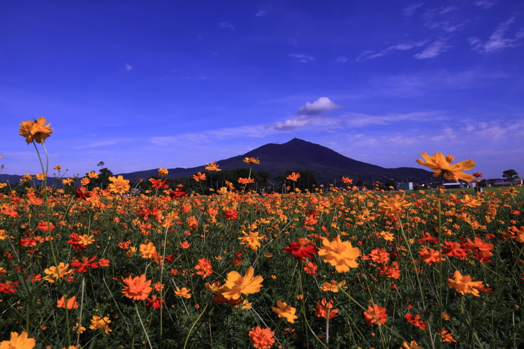 明野町からの筑波山