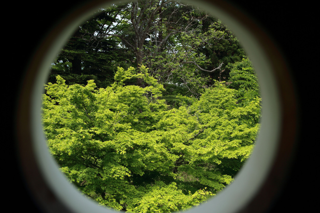 鶴ケ城の鉄砲を撃つ穴？