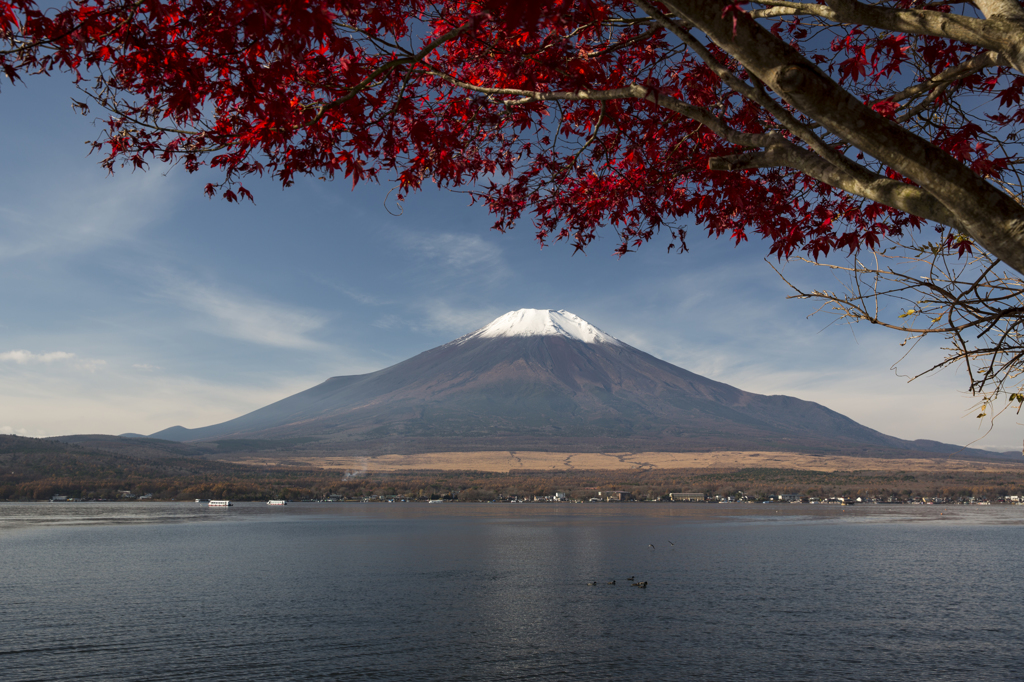 富士山⑥