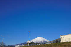 霊峰　富士