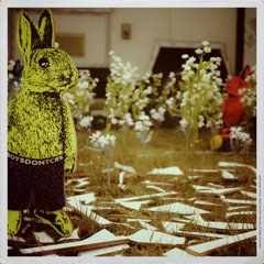 yeallow rabbit