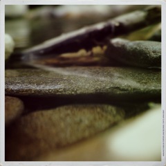 river stone