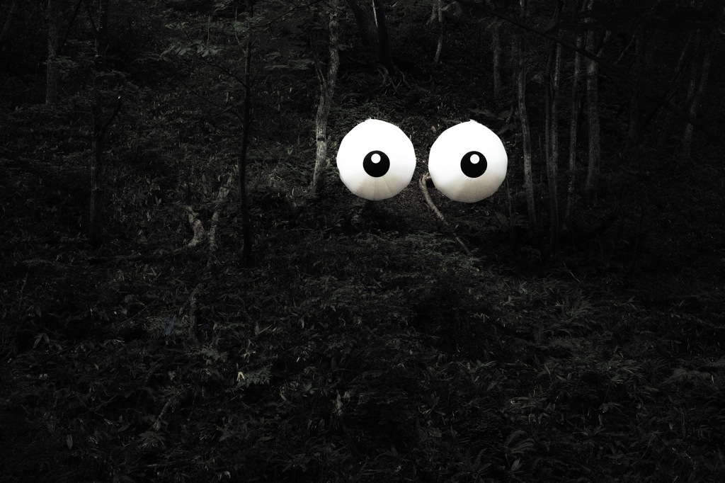 eye
