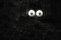 eye
