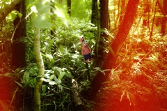 rabbit on the planet