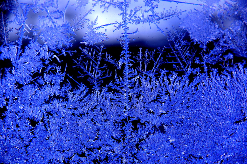 frozen blue5