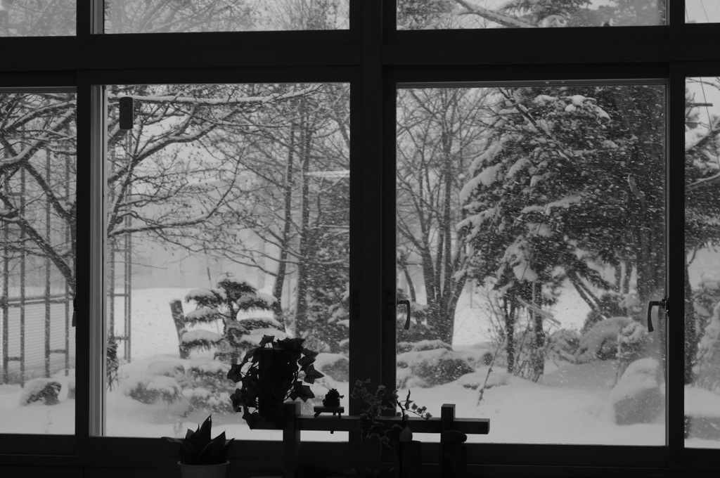 雪が降るということ