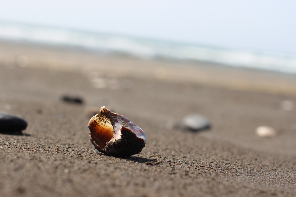 早春の海にて