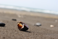 早春の海にて