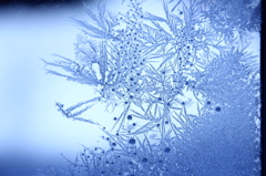 crystal form
