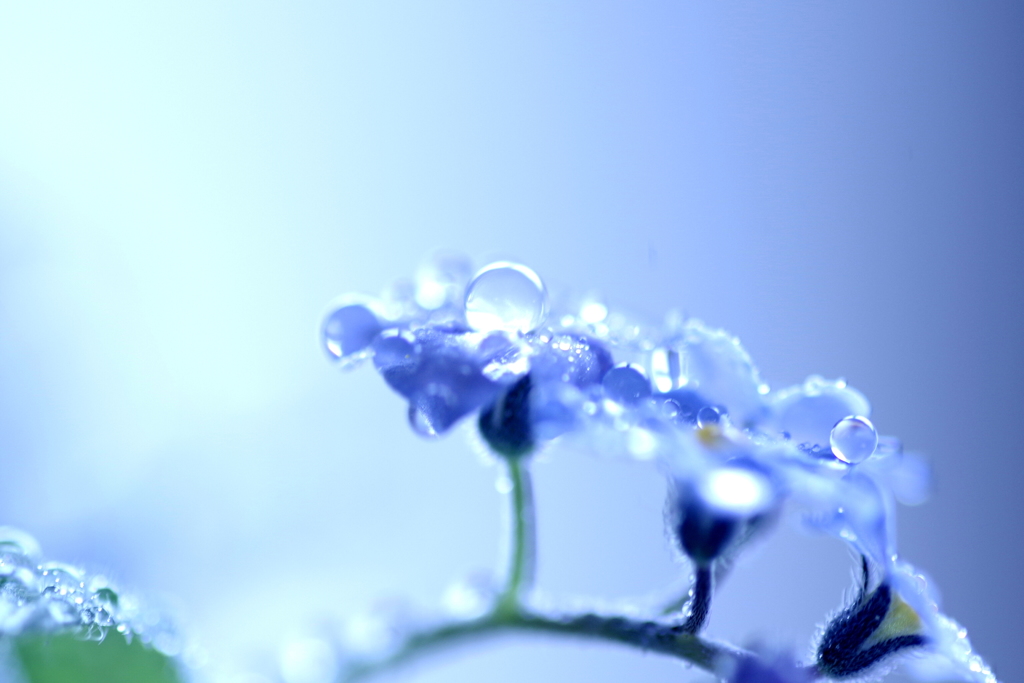 water*