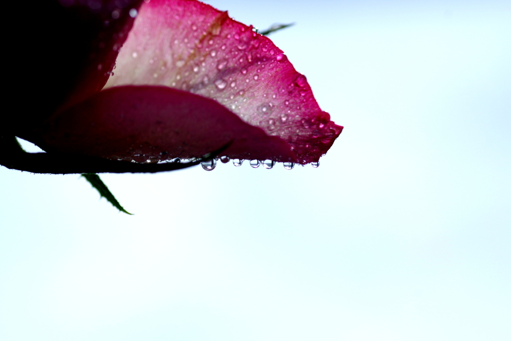 water*