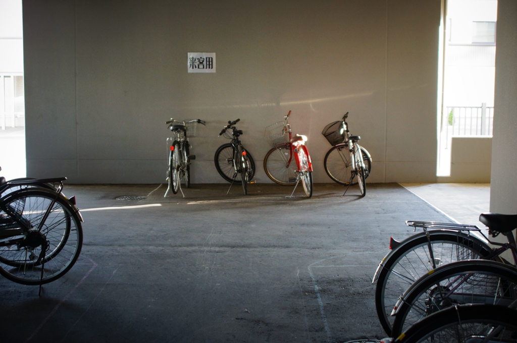 4 cycle