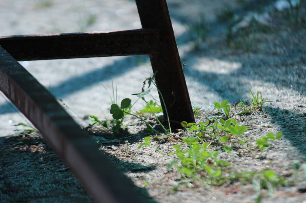 春・時