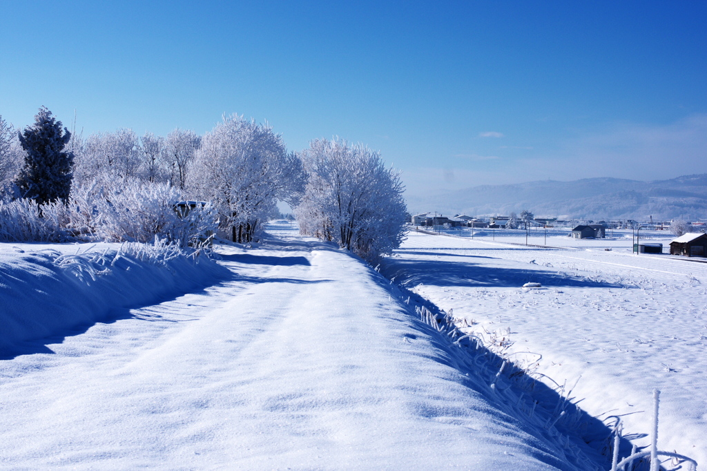 -14℃　朝*