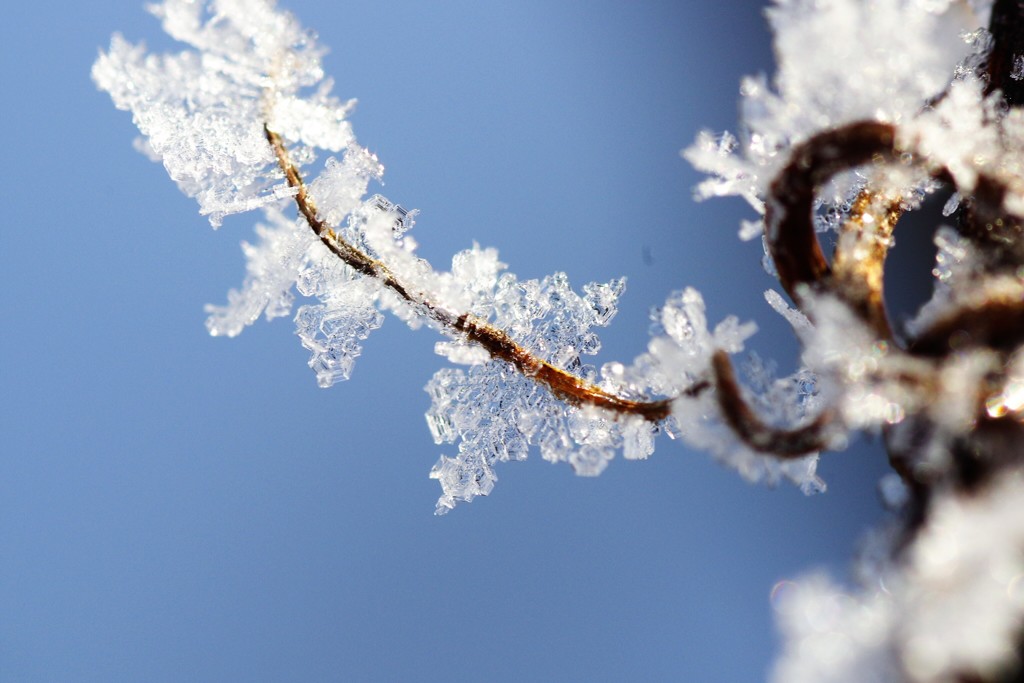 -18.5*